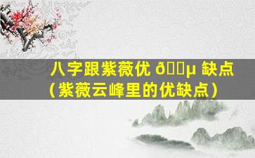 八字跟紫薇优 🐵 缺点（紫薇云峰里的优缺点）